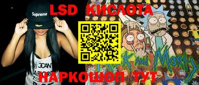 a pvp Кингисепп