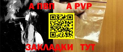 a pvp Кингисепп