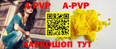 a pvp Кингисепп