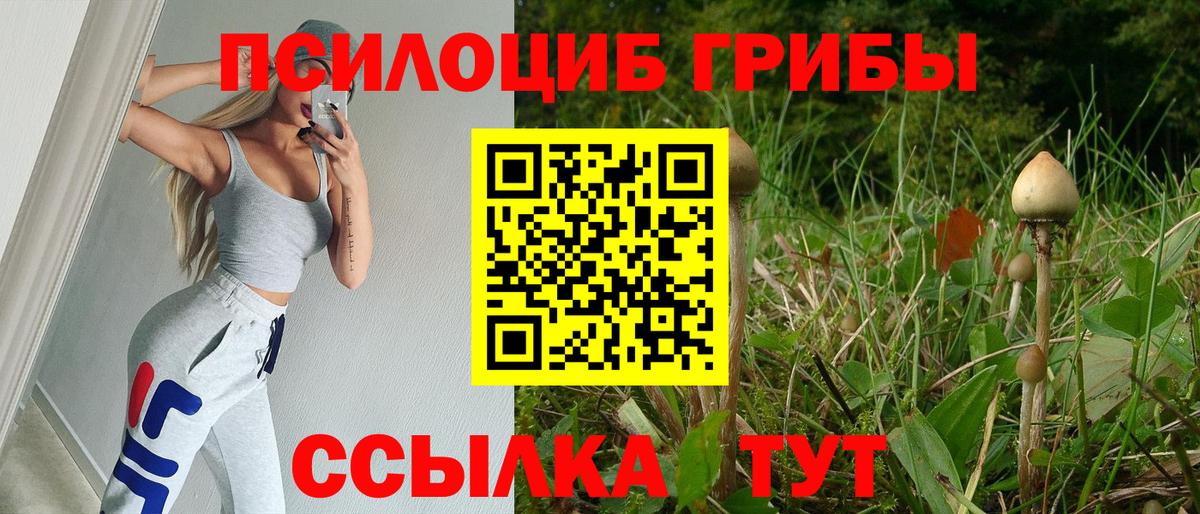 Лангепас  Псилоцибиновые грибы мухоморы  Вход с VPN 