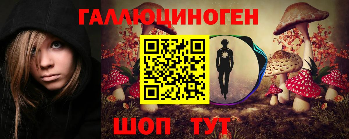Галлюциногенные грибы Psilocybe Лангепас